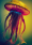 colorful jellyfish nike
